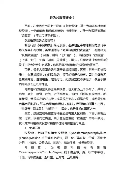 谁为绞股蓝正宗？