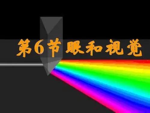 1.6眼和视觉(第一课时)