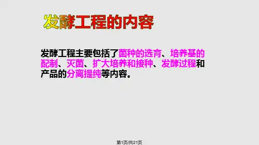 发酵流程PPT课件