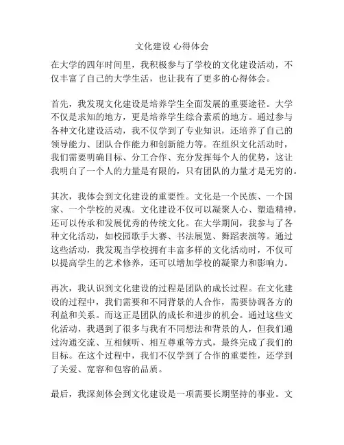 文化建设 心得体会