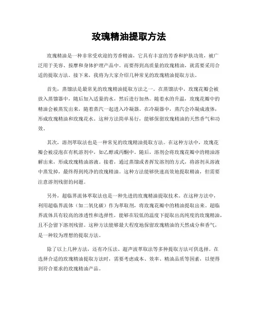 玫瑰精油提取方法