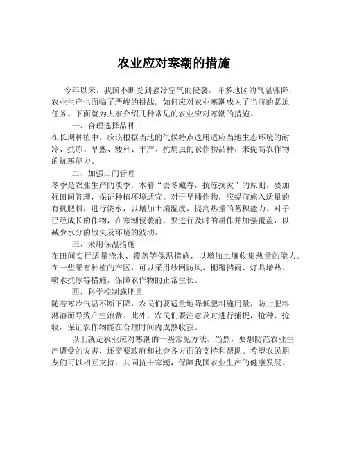 农业应对寒潮的措施