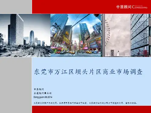 东莞市万江坝头片区商业市场调查修(中原)城区市区商业调查报告