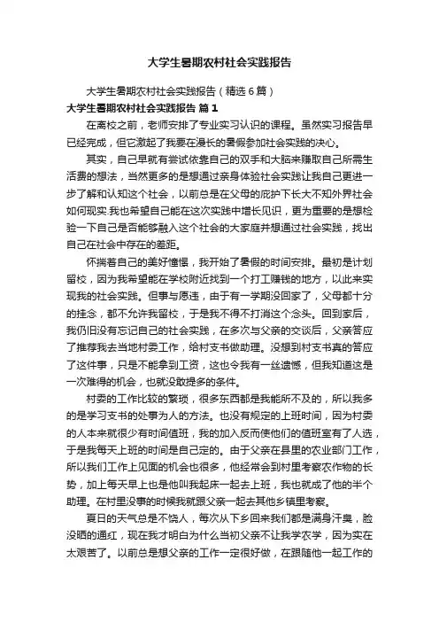 大学生暑期农村社会实践报告