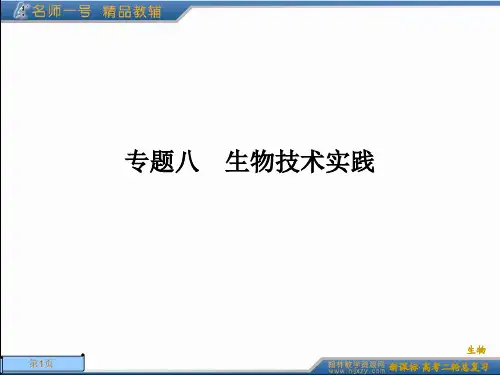 专题八生物技术实践ppt课件