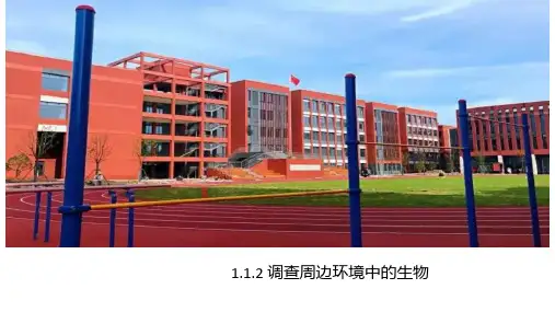 112 调查周边环境中的生物 课件(共15张PPT)2022-2023学年人教版生物七年级上册