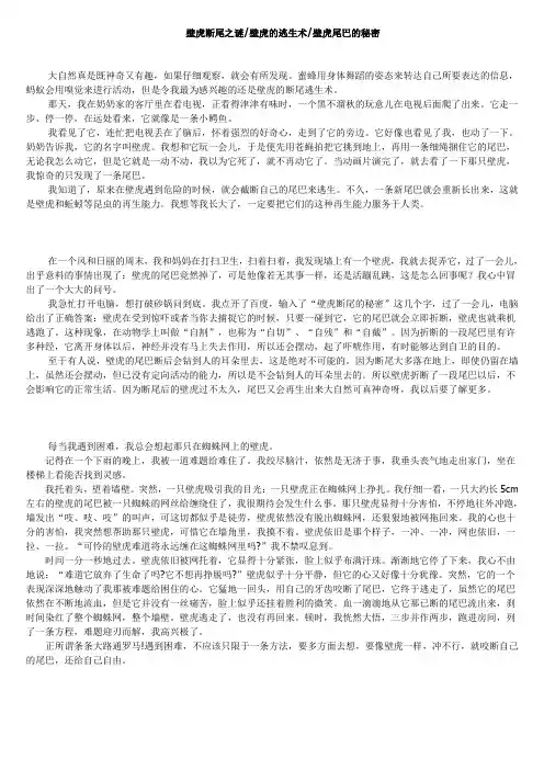 壁虎断尾之谜