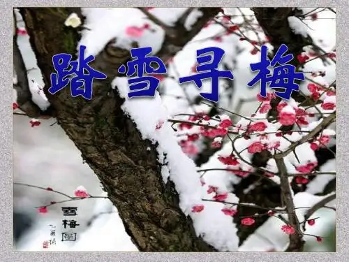 《踏雪寻梅》PPT课件4