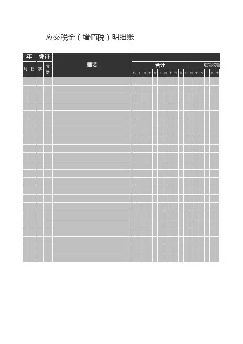 应交税金增值税明细账excel模板