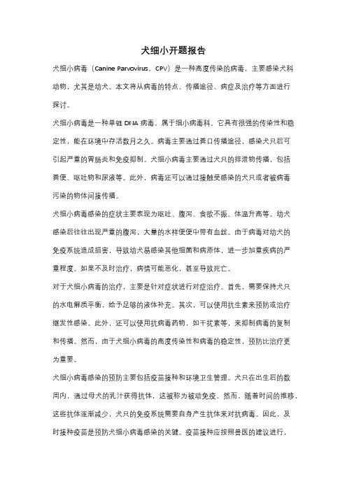犬细小开题报告