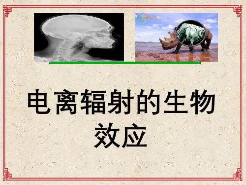 电离辐射的生物效应