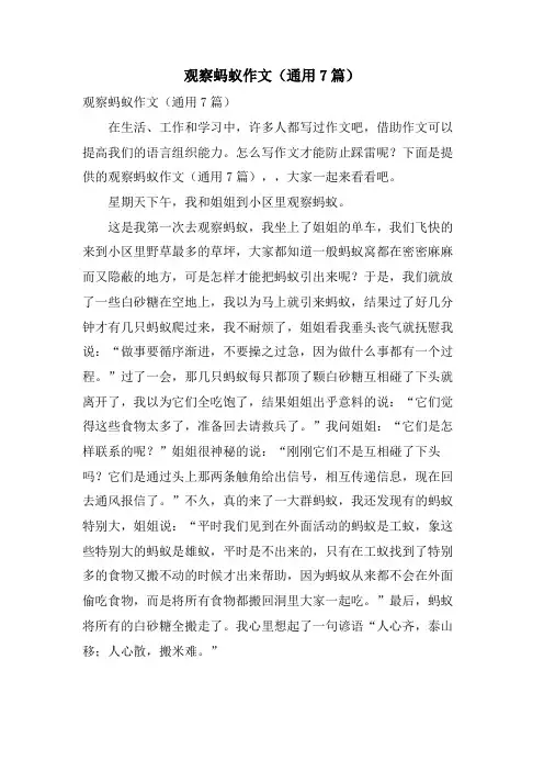 观察蚂蚁作文(通用7篇)