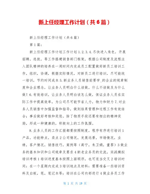 新上任经理工作计划(共6篇)
