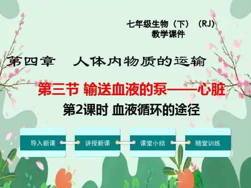 新版人教版七年级下册生物【血液循环的途径课件】