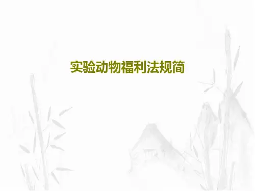 实验动物福利法规简86页PPT