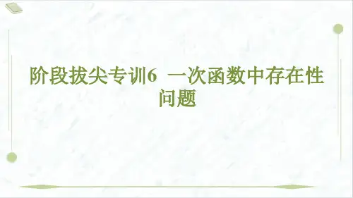 2025年华师版八年级下册数学期末复习阶段拔尖专训6 一次函数中存在性问题