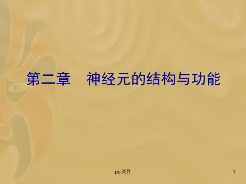第2章 神经元的结构与功能  ppt课件