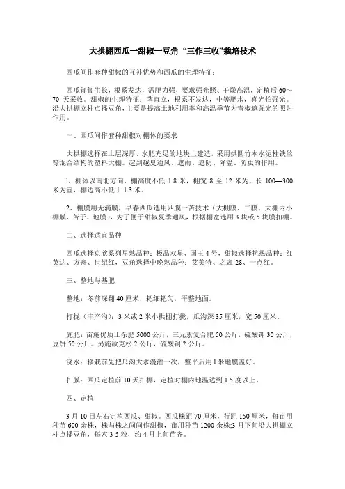 大拱棚西瓜一甜椒一豆角 “三作三收”栽培技术
