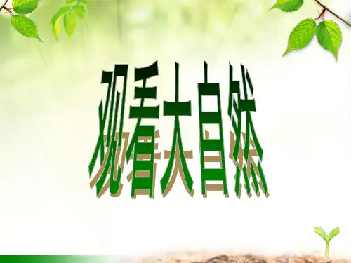 《春天的畅想》课件1