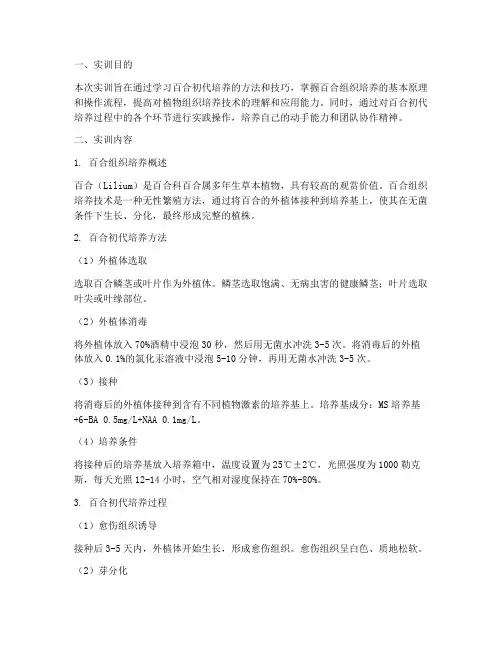 百合初代培养实训报告