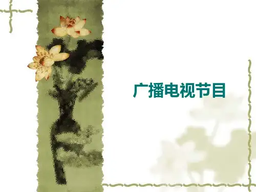 电视节目及其构成要素