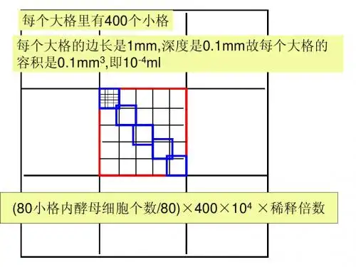血球计数板