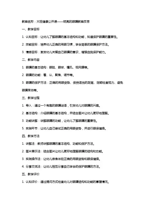 大班健康公开课明亮的眼睛教案反思