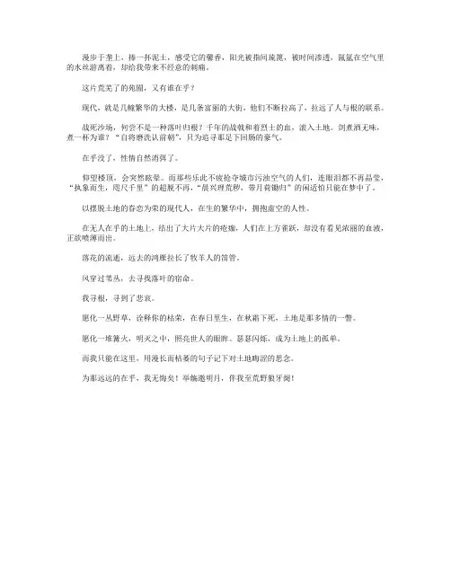 高分作文范文-在乎-500字