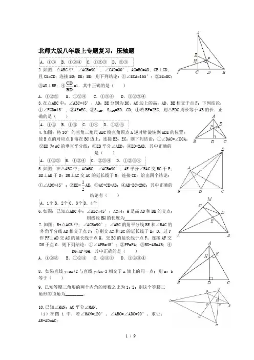 北师大版八年级上专题复习：压轴题