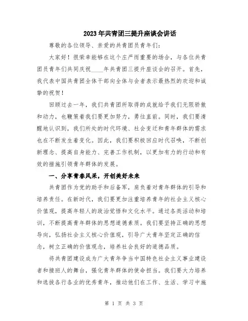 2023年共青团三提升座谈会讲话