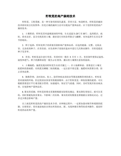 籽粒苋的高产栽培技术