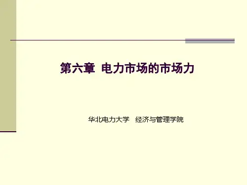 第六章 电力市场的市场力
