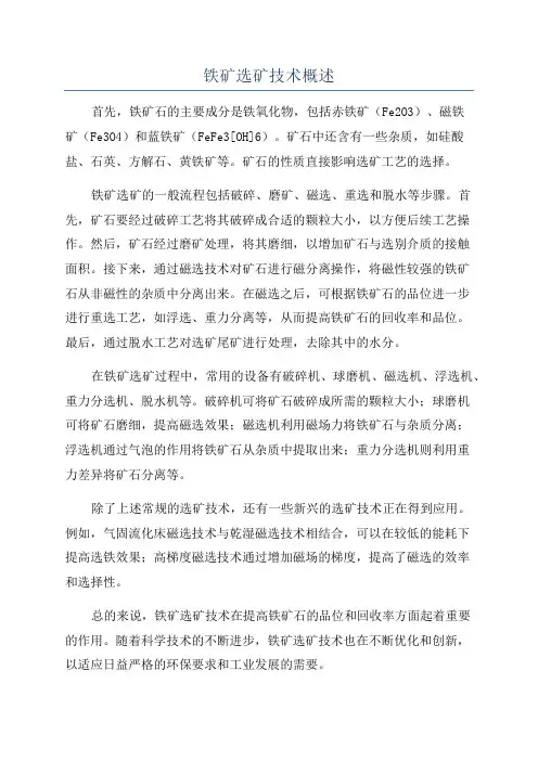 铁矿选矿技术概述