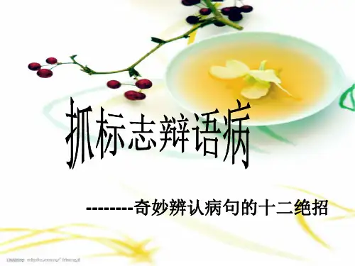 高中语文二轮专题抓标志辩语病病句12招