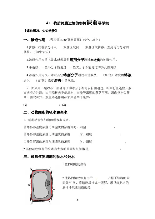 物质跨膜运输的实例导学案