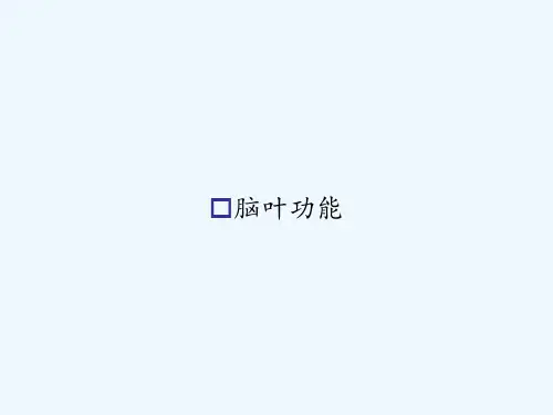 脑叶功能 PPT