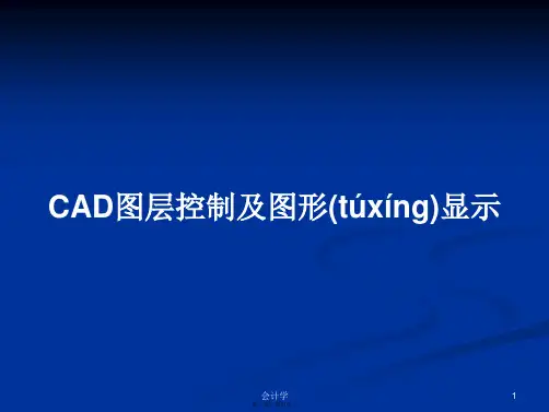 CAD图层控制及图形显示学习教案