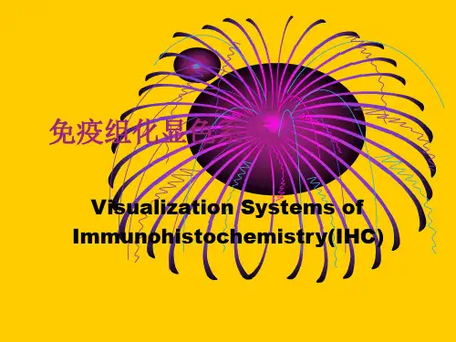 免疫组化显色系统 共31页