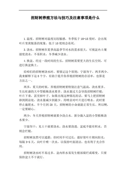 招财树养殖方法与技巧及注意事项是什么