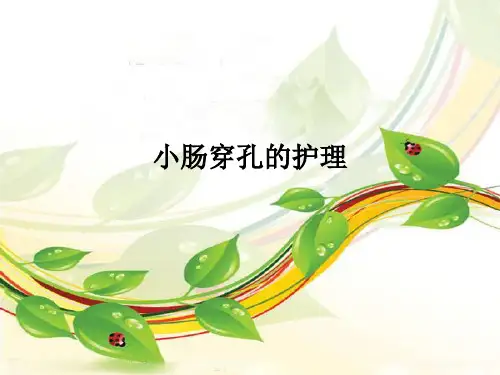 小肠穿孔的护理查房