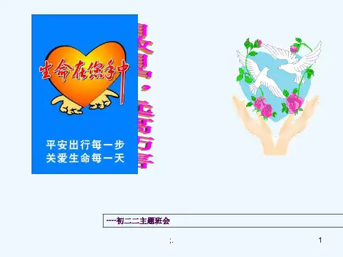 生活中的安全隐患与自护自救ppt课件