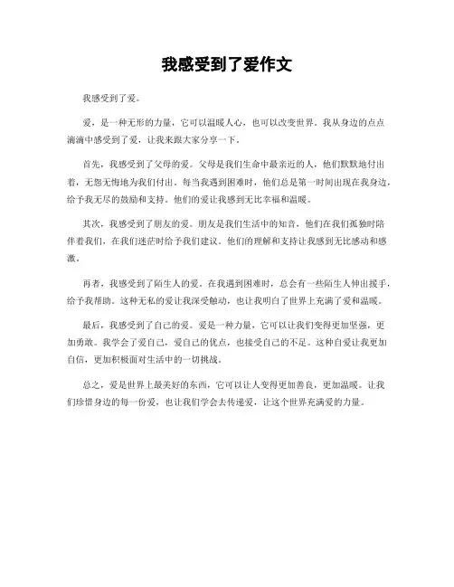 我感受到了爱作文