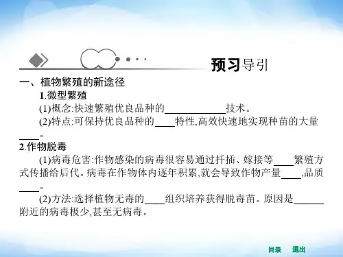 人教版高中生物选修三植物细胞工程的实际应用ppt课件