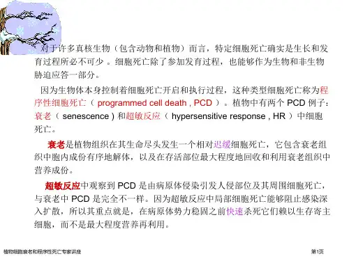 植物细胞衰老和程序性死亡专家讲座