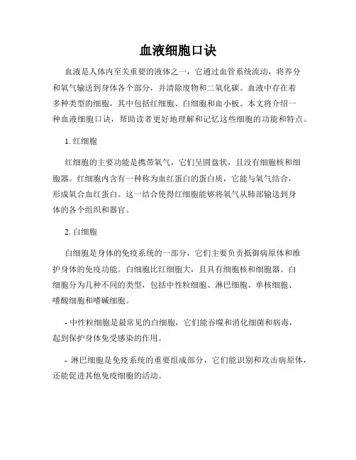血液细胞口诀