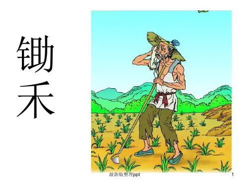 古诗两首(锄禾)ppt课件