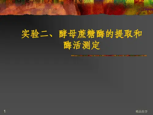 《酵母蔗糖酶》PPT课件