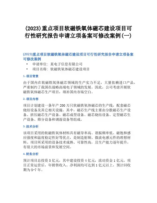 (2023)重点项目软磁铁氧体磁芯建设项目可行性研究报告申请立项备案可修改案例(一)
