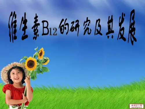 维生素B12__介绍及应用