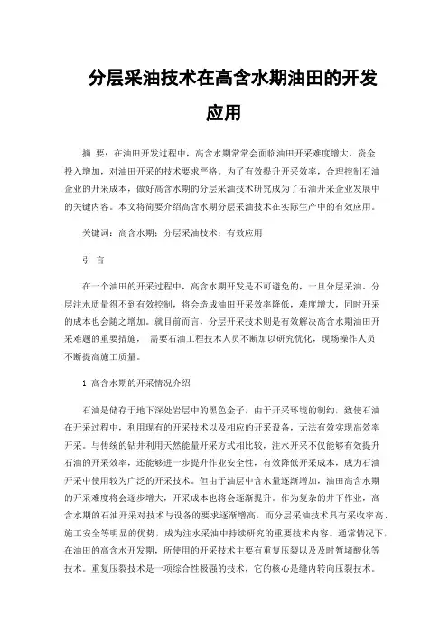分层采油技术在高含水期油田的开发应用